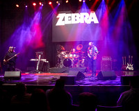 Zebra - Keswick Theatre - 25 Nov 2023